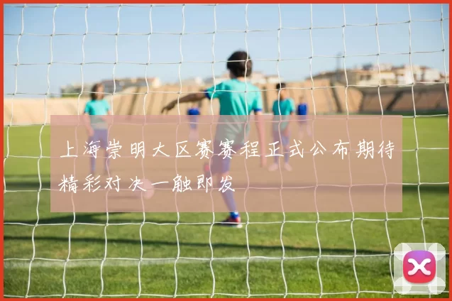 上海崇明大区赛赛程正式公布期待精彩对决一触即发