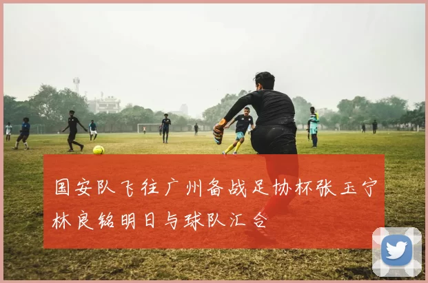 国安队飞往广州备战足协杯张玉宁林良铭明日与球队汇合
